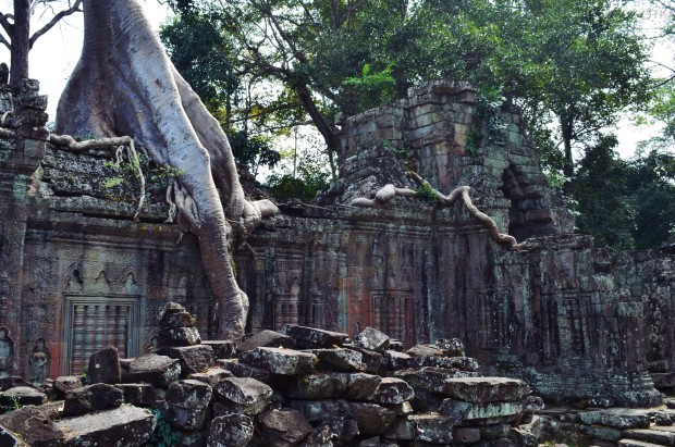 Kambodża, Siem Reap, ruiny w Preah Khan
