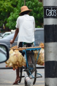 Birma, Yangon, kurczaki na dowóz!